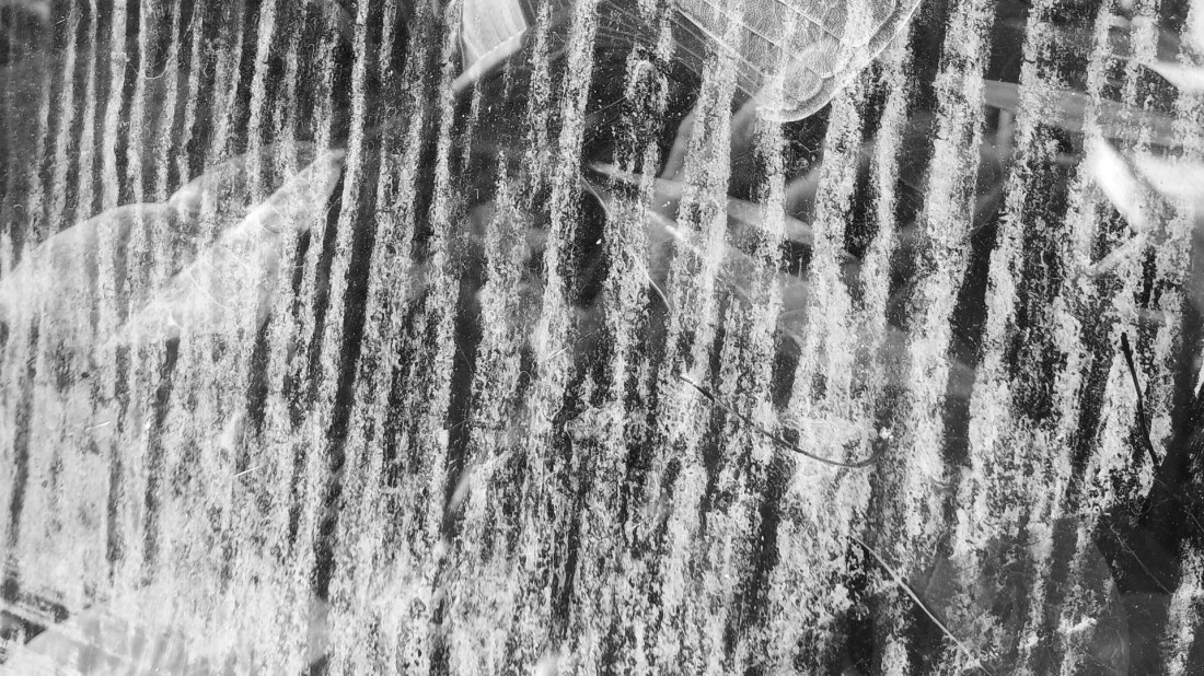 Zaživi polno življenje